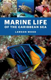 Icon image Marine Life of the Caribbean Sea